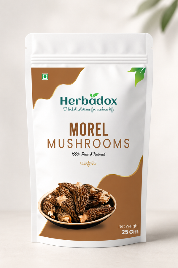 Morel Mushroom