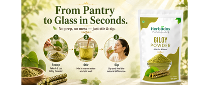Giloy Powder
