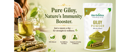 Giloy Powder