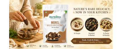 Morel Mushroom