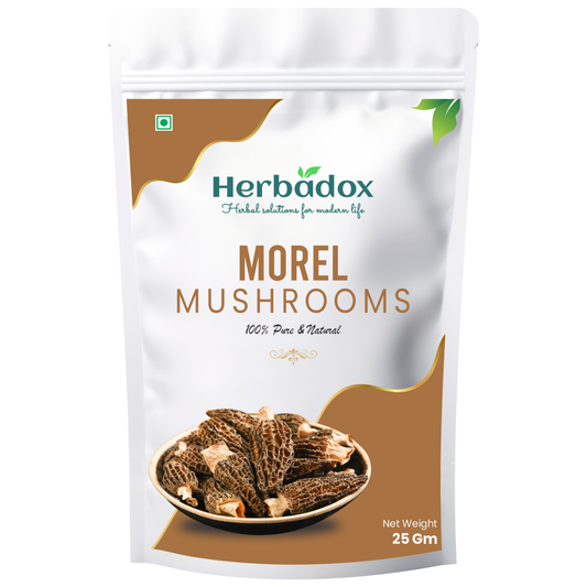 Morel Mushroom