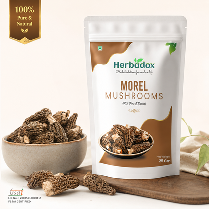 Morel Mushroom