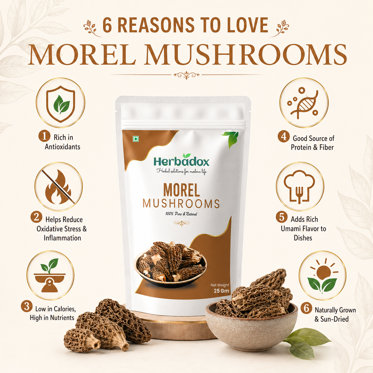 Morel Mushroom