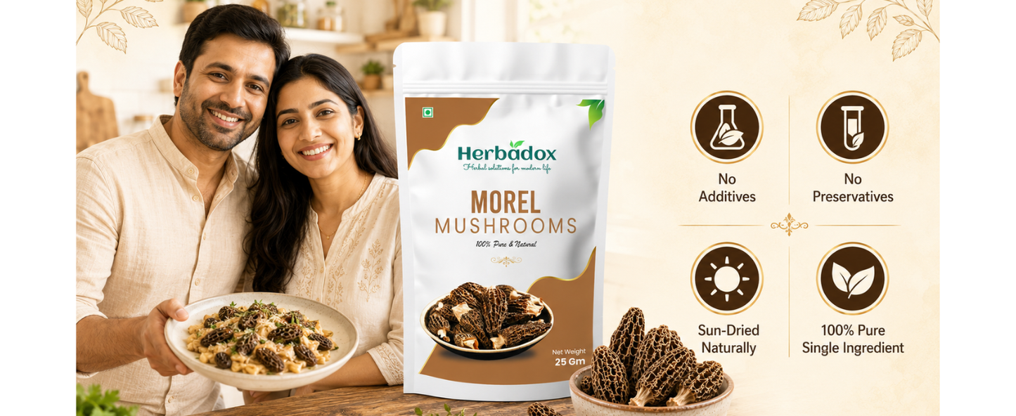 Morel Mushroom