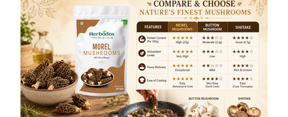 Morel Mushroom