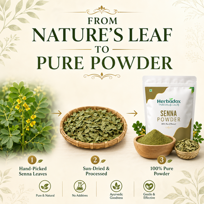 Senna Powder