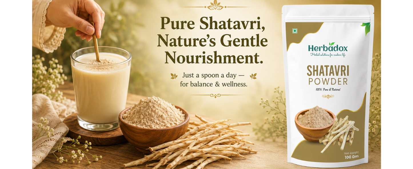 Shatavari Powder