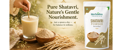 Shatavari Powder