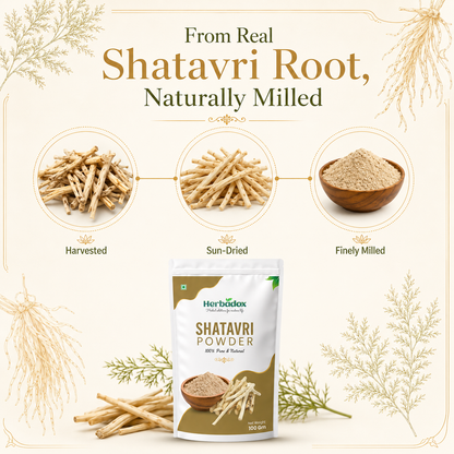 Shatavari Powder
